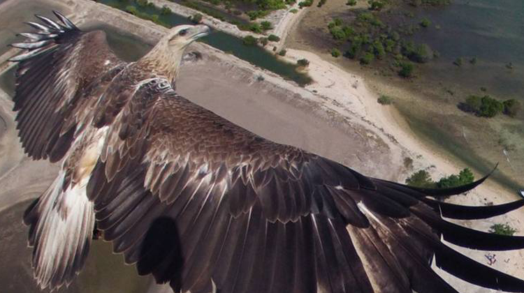 The most Amazing Photos taken by Drones
