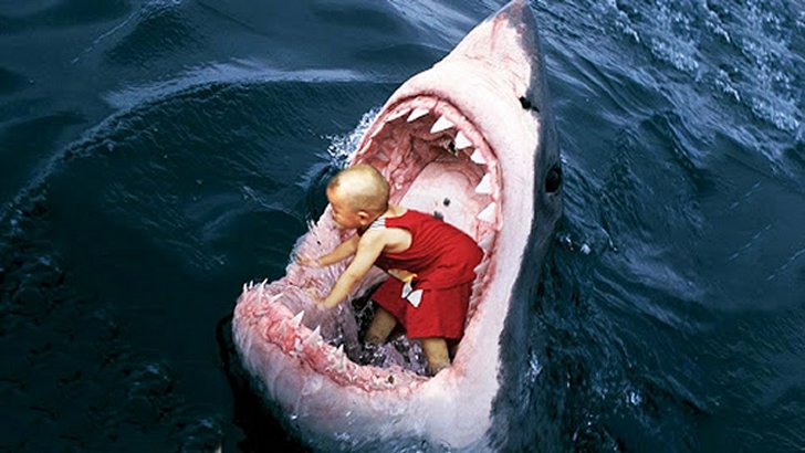 6 Strangest Things Swallowed by a Shark