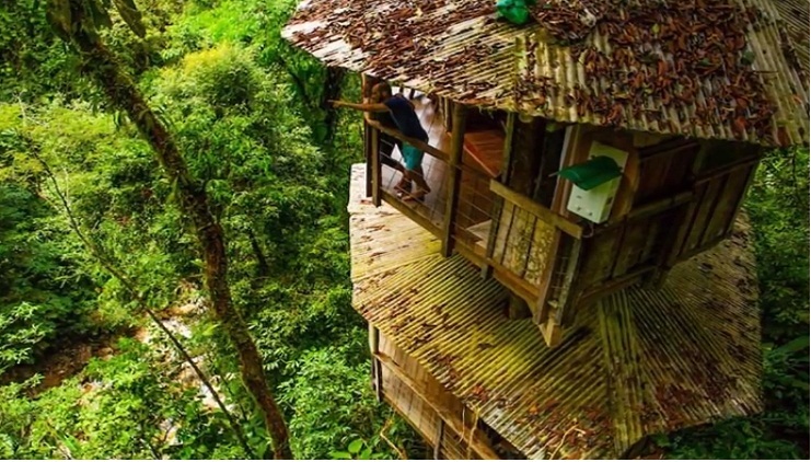 10 Most Amazing Treehouses in the World