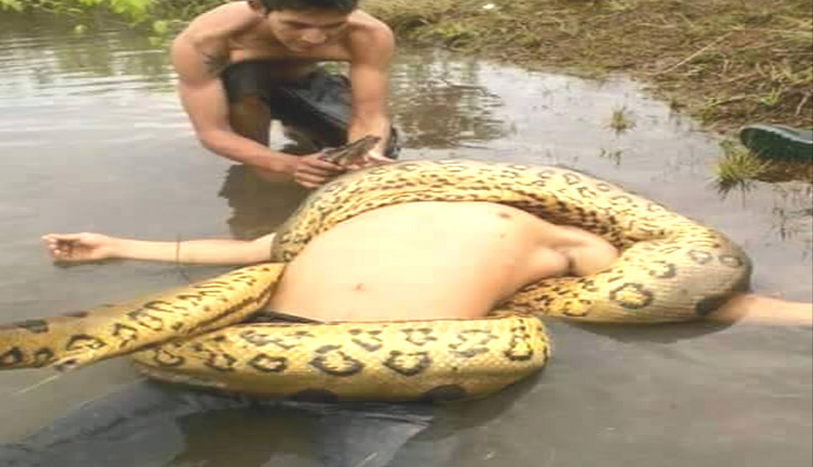 11 Real Anaconda Attacks on Human Caught on Camera
