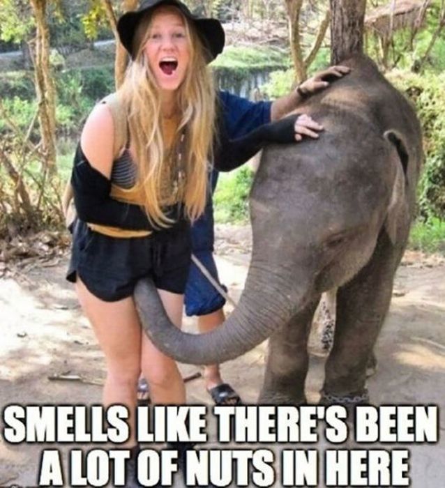 It Does Look Really Weird Memes