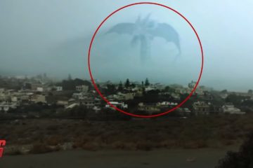 Top 5 Mysterious Gigantic Sea Monster Sightings