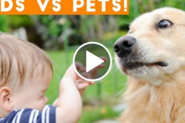 The cutest Kids and Animals Compilation 2019