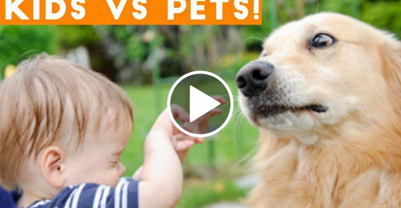 The cutest Kids and Animals Compilation 2019