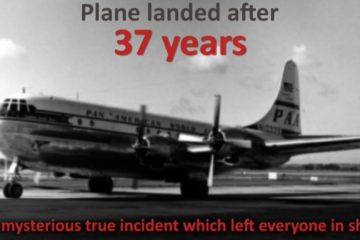 A Plane Disappeared and Landed 37 years later