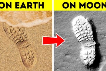 Why Footprints stay on the Moon and 60+ other Amazing Facts