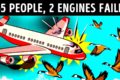 Birds ruined the Plane Engines, see what happened to 155 Passengers