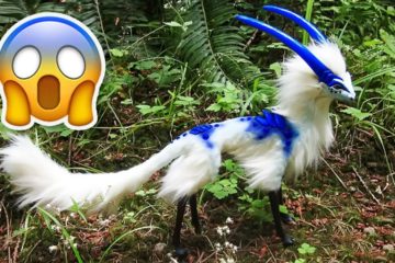 10 Animals you won’t believe Exist