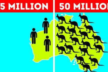 50 Surprising Facts about Australia that break all the Stereotypes