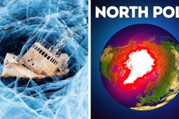 Why nobody can Survive in the North Pole