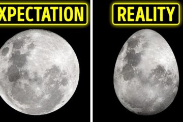 45 Moon Facts that show How little you know about It