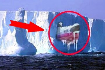 Mysterious things found Frozen in Antarctican Ice