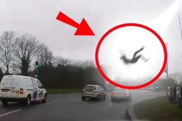 Incredible Things Caught on Camera