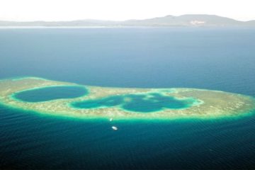 Divers researching Marine Life accidentally discovered an Amazing New Blue Hole